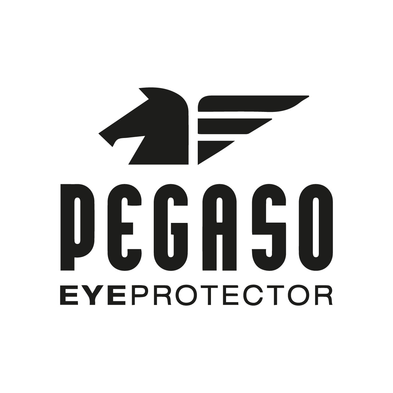 Pegaso eye protector protección ocular y salud visual. Equipos de protección individual